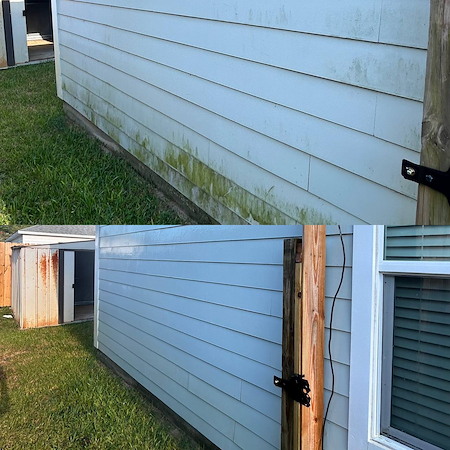 What Causes Green Algae on Siding (And How to Remove It Safely) Thumbnail