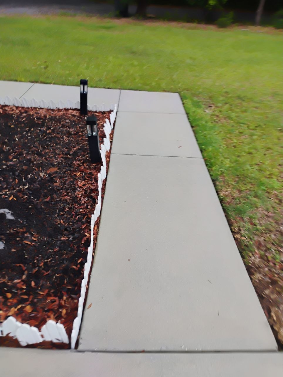 Bringing Back the Clean Look of This Walkway in Pace, Florida