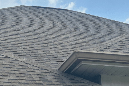 Roof Cleaning