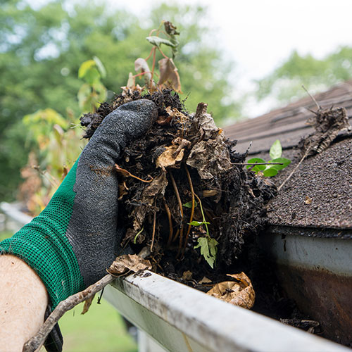 Gutter Cleaning
